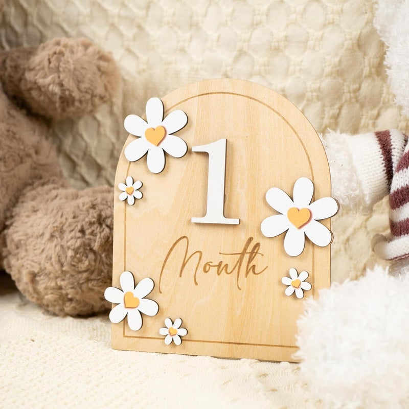 HONOCOOLS Store Baby Monthly Milestone Cards - Wooden Monthly Milestone Discs - Newborn Photography Props to Document Your Baby´s Growth - Baby Announcement Sign (B05) - Image 2